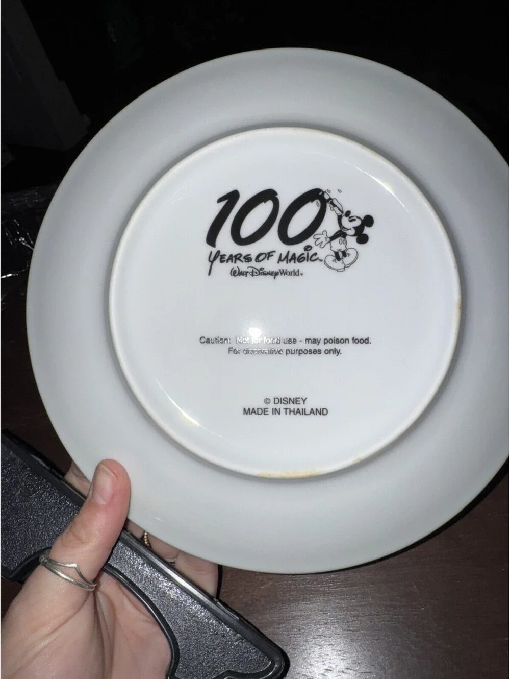 Disney World 100 Years Of Magic Collector Plate Share A Dream Come True 2001 NIB